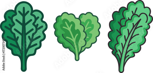 Varieties of Leafy Green Vegetables Displayed as Isolated Vector Graphics