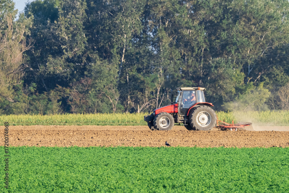 Obraz premium Trattore agricolo al lavoro in campo polveroso, concetto di agricoltura e coltivazione moderna