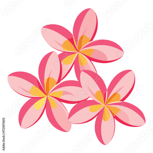 frangipani flower isolated on white