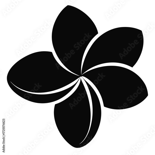 frangipani flower silhouette on white background
