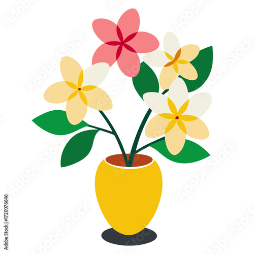frangipani flower in a vase on white background