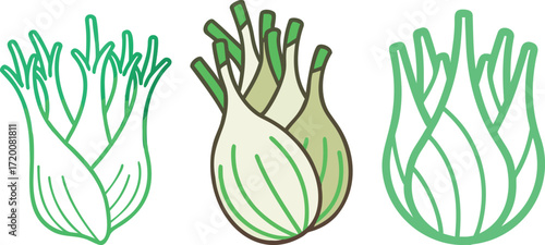  fennel bulbs in different styles, a stylized botanical illustration