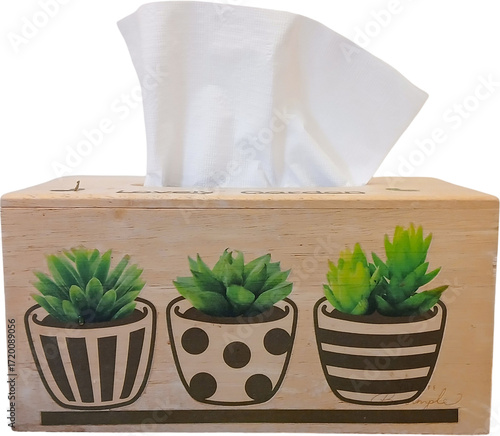 Wooden tissue box with succulent plant illustration for home decor