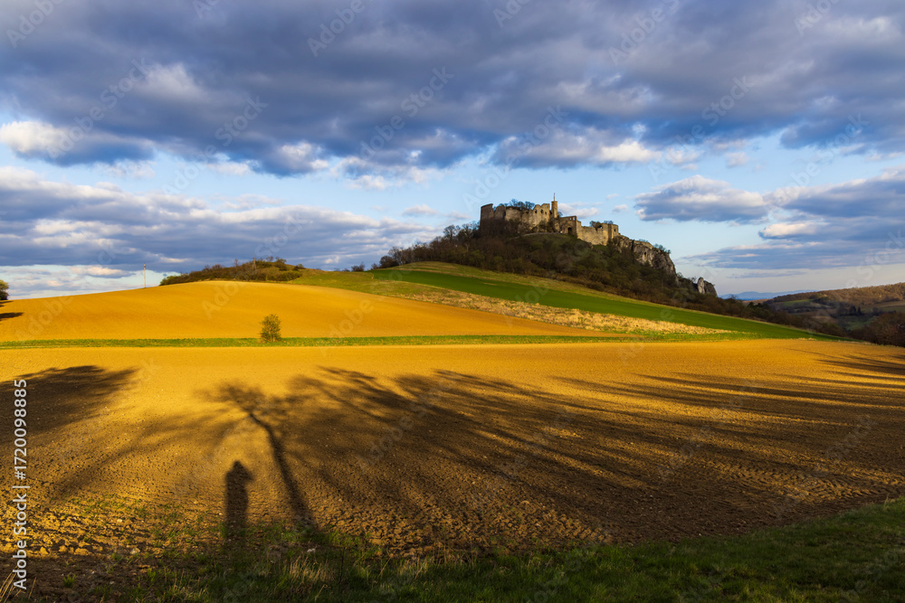 Obraz premium Falkenstein ruins, Lower Austria, Austria
