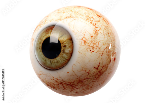 Realistic human eyeball with brown iris and veins isolated on a transparent background 1