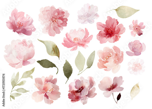 Vector watercolor set of abstract pink flowers including roses peonies asters and other blossoms in light transparent artistic style for design and decoration projects