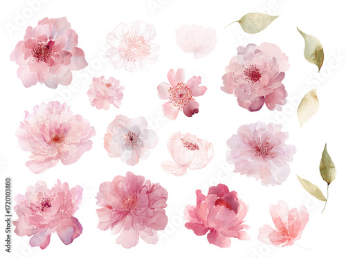 Vector watercolor set of abstract pink flowers including roses peonies asters and other blossoms in light transparent artistic style for design and decoration projects