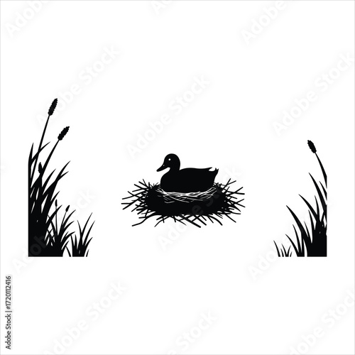 Silhouette of a duck sitting in its nest surrounded by reeds and cattails wildlife scene