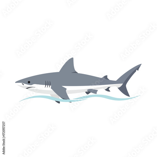 Grey Shark Swimming in the Ocean with Waves Illustration