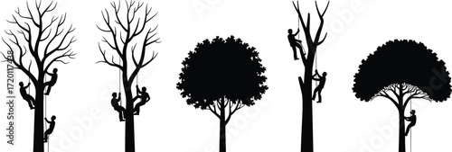 Tree climber silhouettes, arborist trimming tree, forestry worker, rope access, safety harness, outdoor labor, tree care service, climbing gear, professional tree maintenance, nature work