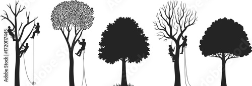 Tree climber silhouettes, arborist trimming tree, forestry worker, rope access, safety harness, outdoor labor, tree care service, climbing gear, professional tree maintenance, nature work