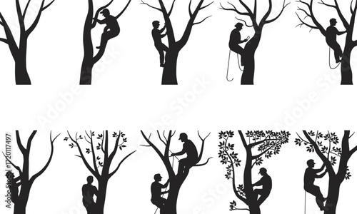 Tree climber silhouettes, arborist worker, tree trimming, forestry work, outdoor labor, climbing gear, nature care, landscaping service, safety harness, professional tree care