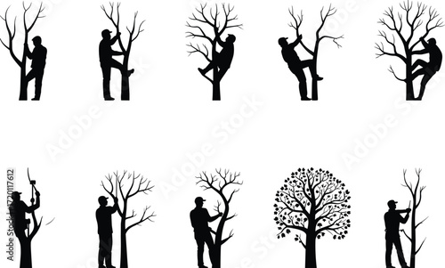 Tree climber silhouettes, arborist worker, tree trimming, forestry work, outdoor labor, climbing gear, nature care, landscaping service, safety harness, professional tree care