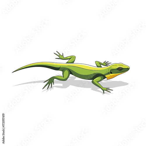 A vibrant green lizard with yellow accents, showcasing its slender body and long tail, casting a shadow on a clean white background