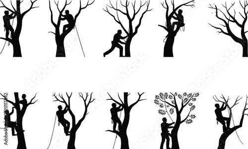 Tree climber silhouettes, arborist worker, tree trimming, forestry work, outdoor labor, climbing gear, nature care, landscaping service, safety harness, professional tree care
