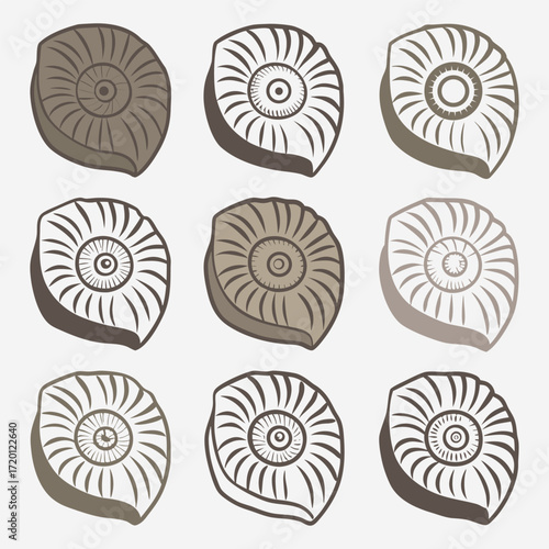 Collection of nine hand drawn ammonite fossils in earthy tones