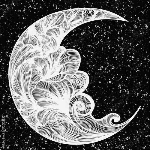 Beautifully detailed crescent moon illustration with intricate ornamental swirl patterns set against a dark starry night sky. A mystical black and white celestial graphic design