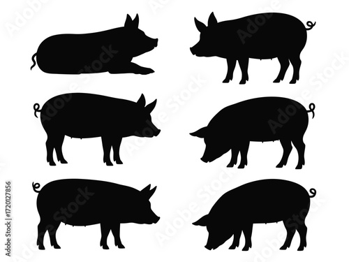 Collection of six diverse pig silhouettes in various poses demonstrating different activities and stances silhouette