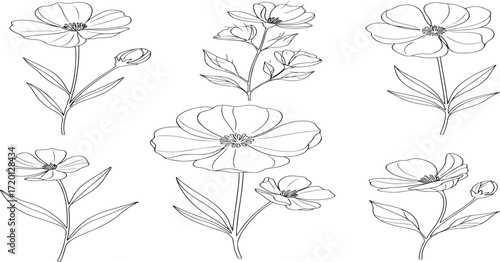 A set of nine detailed, hand-drawn floral illustrations featuring poppies and other delicate flowers, all isolated on a clean white background.