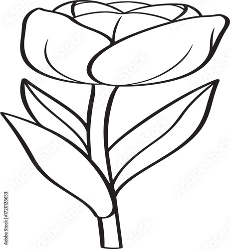 A delicate hand drawn line art illustration of a single tulip flower with leaves and stem isolated on white background.