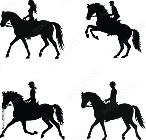 Captivating Black Silhouettes of Horses and Riders Engaging in Various Equestrian Activities