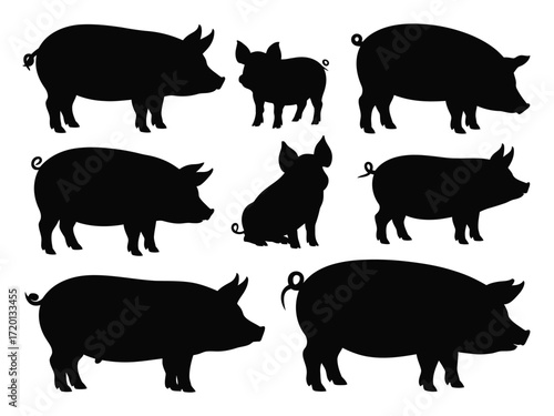 Collection of diverse pig silhouettes standing and sitting in various poses against a white background