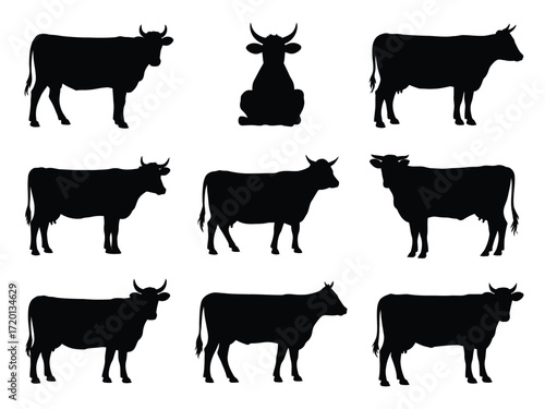 Collection of diverse black cow silhouettes standing and sitting in various poses on a white background