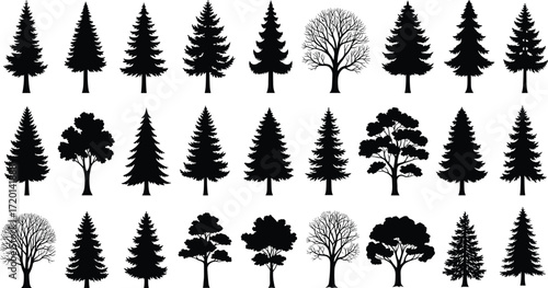 Tree silhouettes vector collection, forest illustration set, nature landscape design, conifer and deciduous trees, black white botanical artwork background