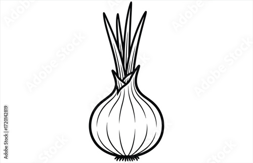 Vector art of a black and white line art illustration of an onion with sprouting greens, , perfect for culinary designs and educational materials