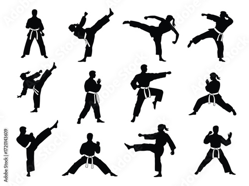 Dynamic karate poses silhouette collection featuring martial arts movements and training
