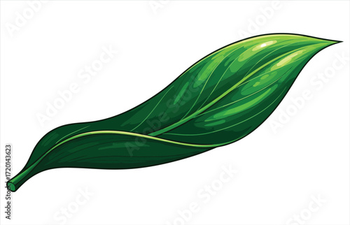 Vector art of a vibrant green leaf with detailed veins is isolated on a, showcasing natures beauty, the leaf is fresh
