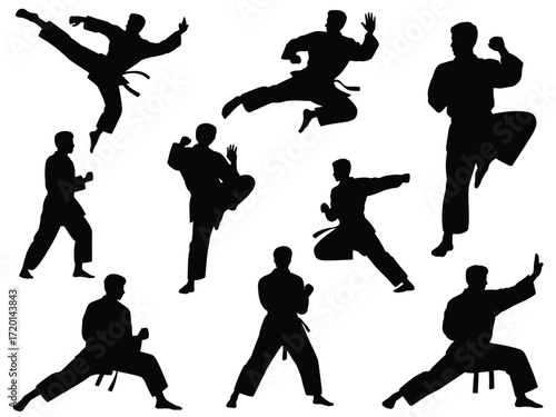 Dynamic karate action poses silhouette collection featuring martial arts movements and training