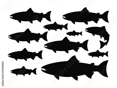 A school of salmon swimming together in a dynamic silhouette arrangement