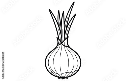 Vector art of a black and white line art illustration of an onion with its green shoots, the onion is drawn with clean lines, highlighting its bulbous shape and sprouting leaves