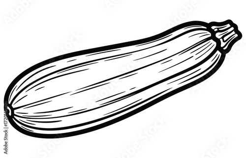 Vector art of a black and white line art illustration of a zucchini, the zucchini is depicted with detailed lines, showcasing its elongated shape and textured surface