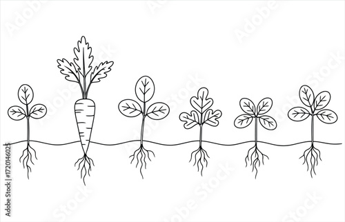 Vector art of seedling growth stages drawn with a continuous line minimalist vector illustration of plant development from seed to sprout