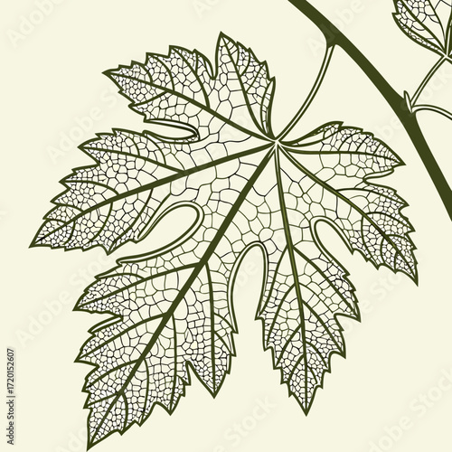 Vector art of detailed line art illustration of a grape leaf, showcasing its intricate vein structure and serrated edges, the leaf is depicted in a minimalist style, emphasizing its natural beauty