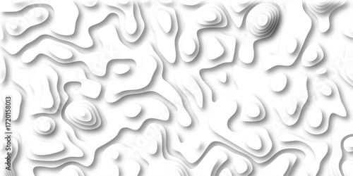 Abstract topographic map layers with smooth white contours and soft grey shadows creating depth and organic shapes