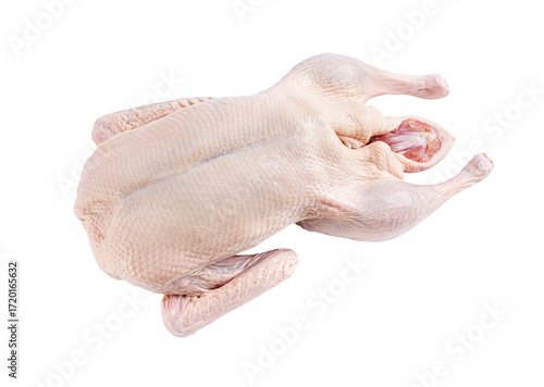 Raw and uncooked whole duck, closeup object. Isolated on transparent background