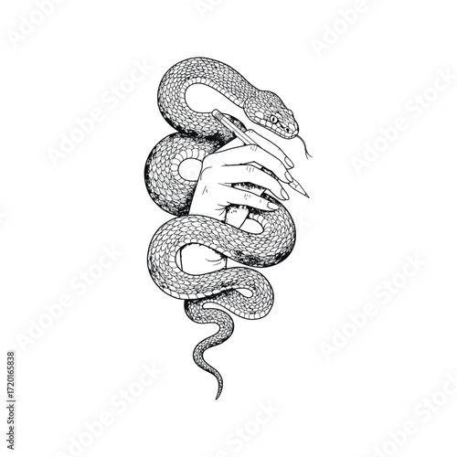 Hand holding pencil encircled by a snake black and white illustration mystical art tattoo design