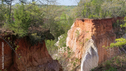 Deep ravine with sandstone cliffs and trees of the Little Grand Canyon, known as Georgia's 
