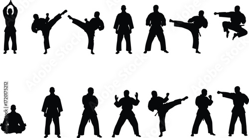 Martial arts silhouette vector, karate poses, kung fu stances, taekwondo kicks, self defense illustration, combat training, fighter action, meditation posture