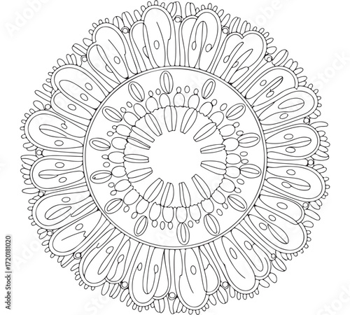 Intricate Mandalas Coloring Collection  for adults and kids