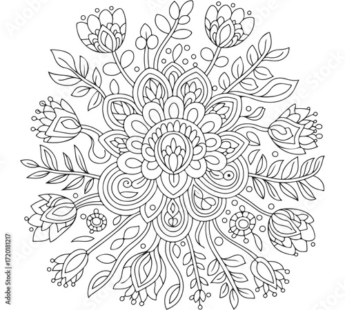 Intricate Mandalas Coloring Collection  for adults and kids