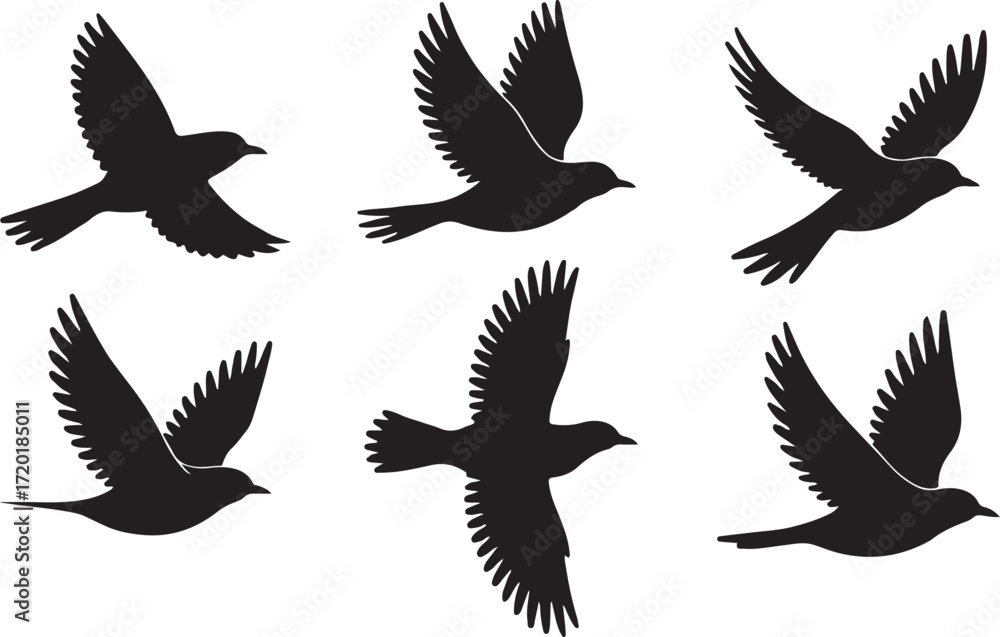 Fototapeta premium Collection of bird silhouettes in various flying poses
