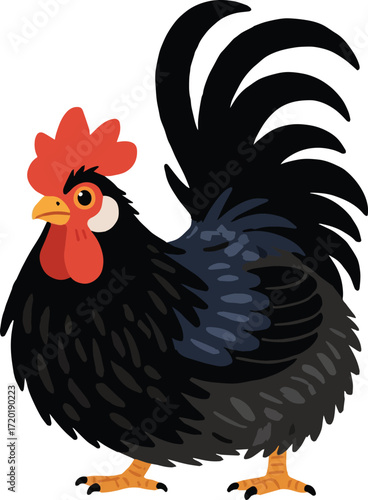 Ayam cemani black chicken vector illustration art