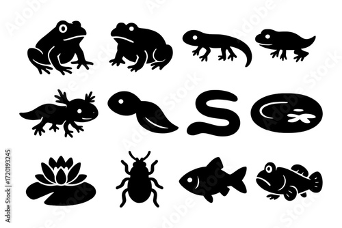 Silhouette amphibians and aquatic creatures collection with frogs and fish