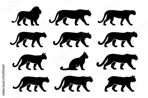 Set of silhouette big cats: lion, puma, leopard, lynx in various poses