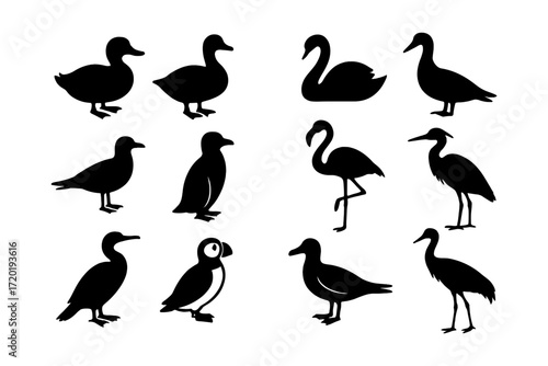 Silhouette collection of various birds including swan, flamingo, and seagull