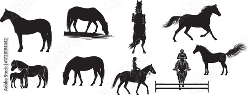 Collection of horse silhouettes in various poses and activities animal equine